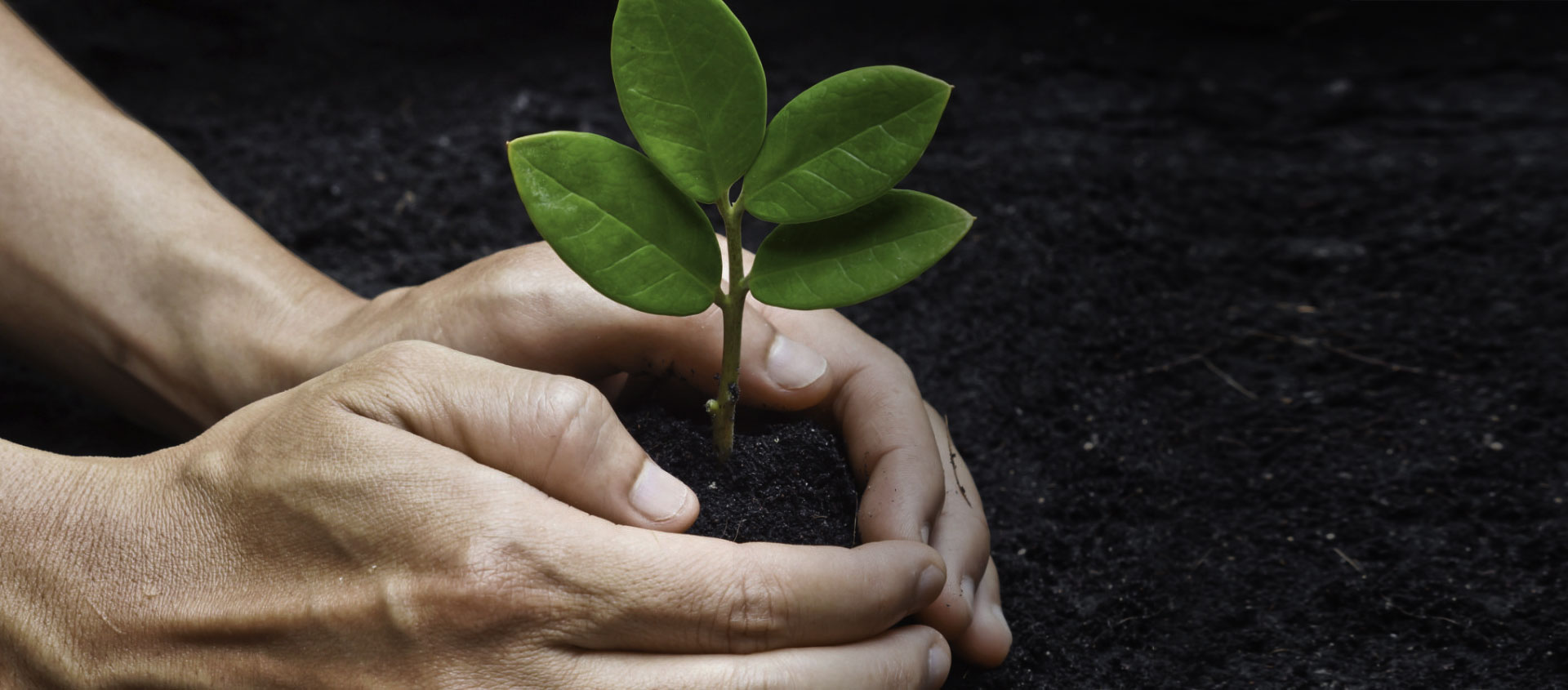 Экспертиза качества молотков для дробилки по арбитражному делу